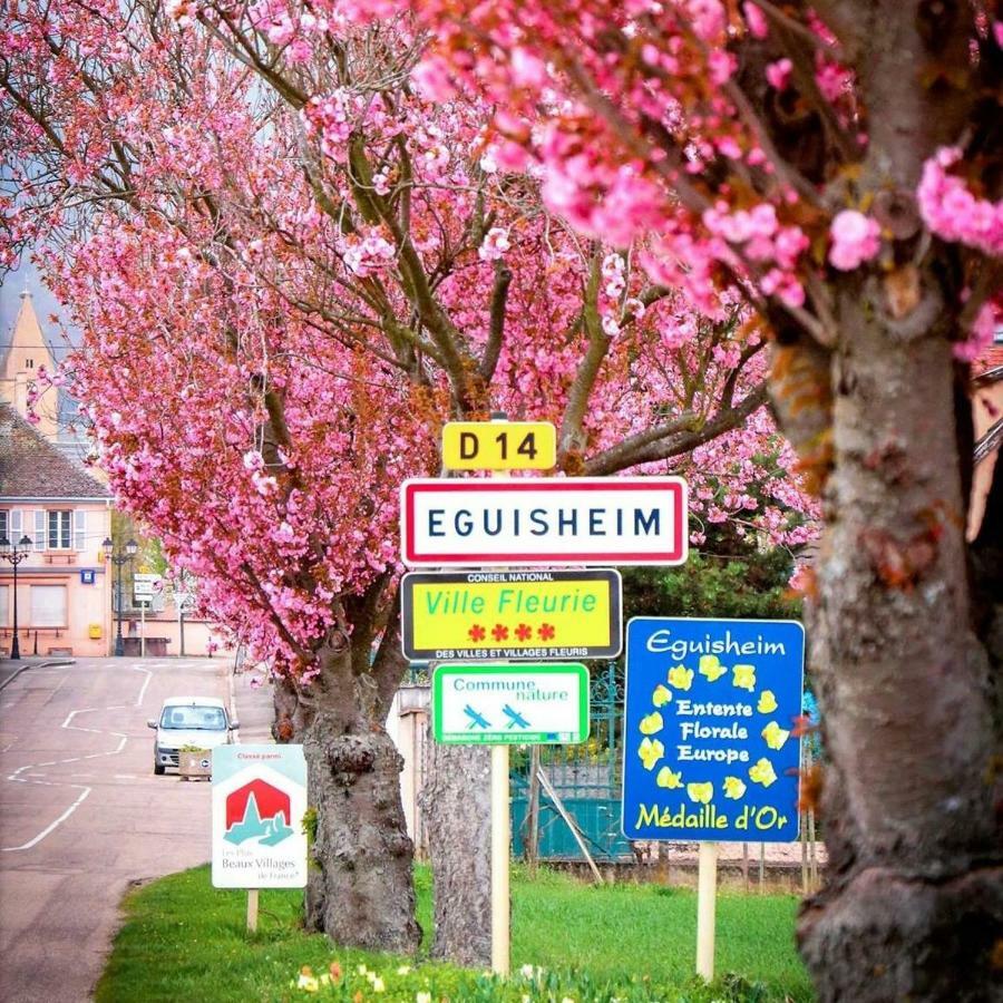 Gite Edelweiss A 엥기쉬하임 외부 사진
